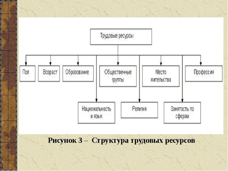 Министерство образования и науки рф кто осуществляет руководство