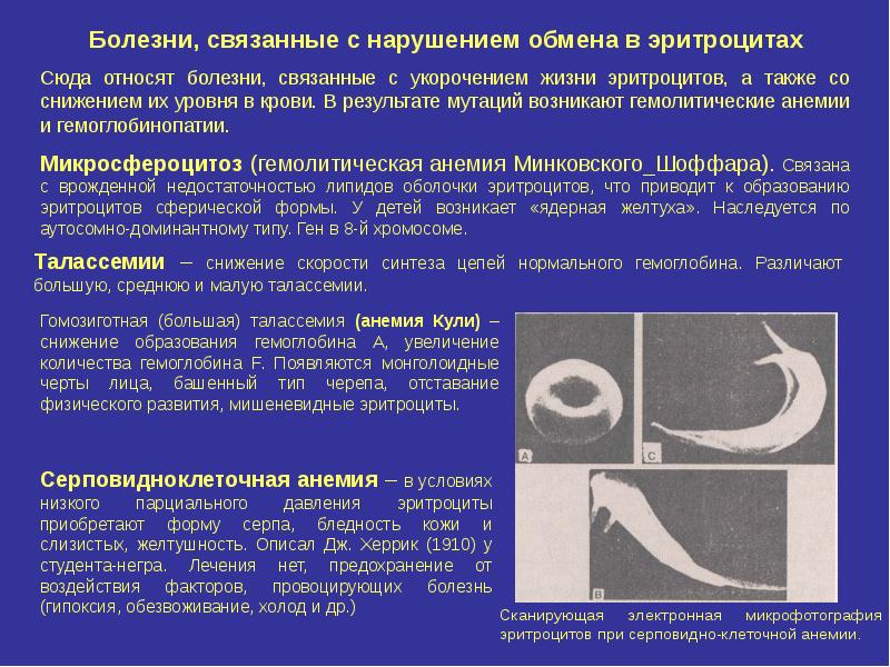 Талассемия презентация по генетике