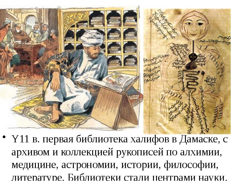 Медицина в халифатах история медицины презентация