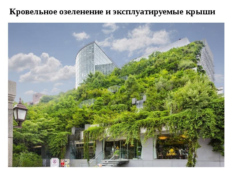 Кровельное озеленение и эксплуатируемые крыши