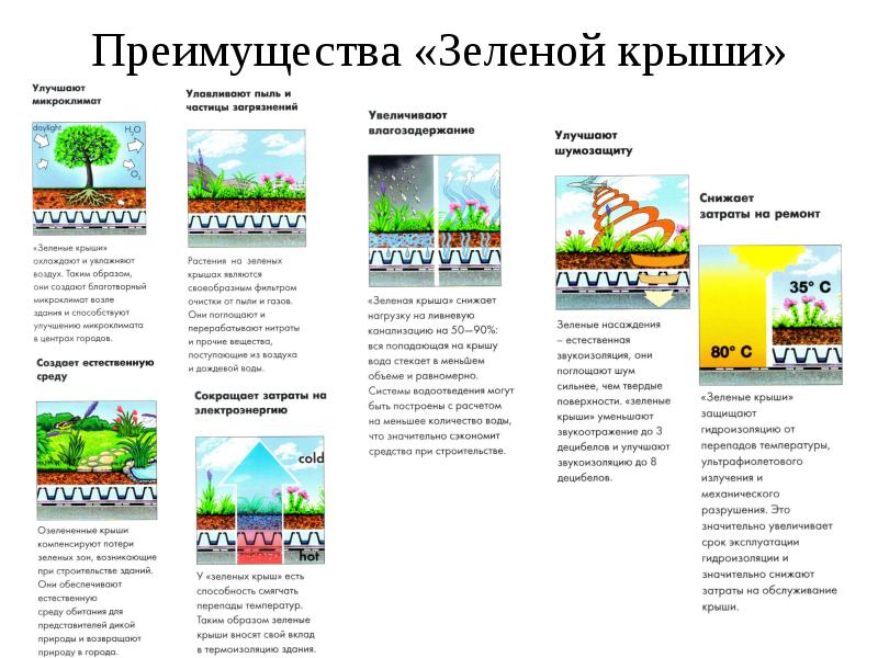 Преимущества «Зеленой крыши»