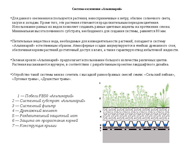 Система озеленения «Альпинарий»  Для данного озеленения используются растения, невосприимчивые к