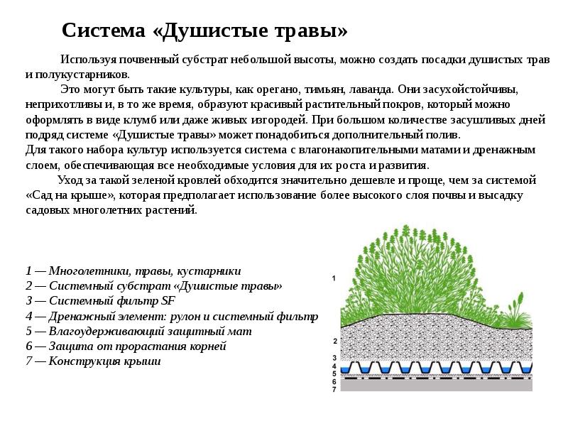 Система «Душистые травы» Система «Душистые травы»