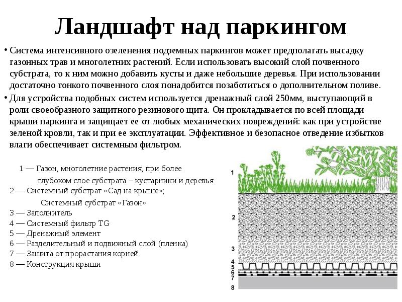 Ландшафт над паркингом  Система интенсивного озеленения подземных паркингов может предполагать