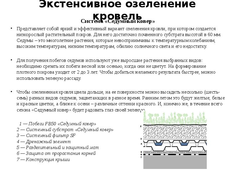 Экстенсивное озеленение кровель Система «Седумный ковер» Представляет собой яркий и эффективный