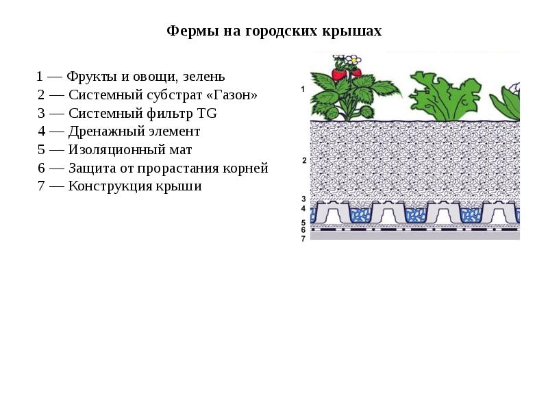 Фермы на городских крышах   1 — Фрукты и овощи,