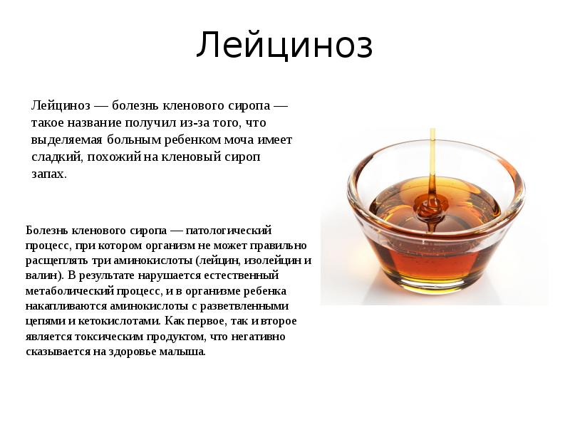 Лейциноз
Болезнь кленового сиропа — патологический процесс, при котором организм не Лейциноз
Болезнь кленового сиропа — патологический процесс, при котором организм не