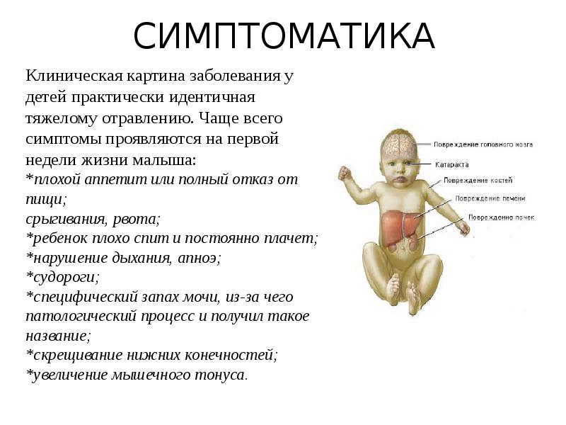СИМПТОМАТИКА
Клиническая картина заболевания у детей практически идентичная тяжелому отравлению. Чаще СИМПТОМАТИКА
Клиническая картина заболевания у детей практически идентичная тяжелому отравлению. Чаще