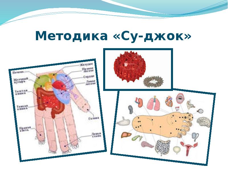 Проект су джок терапия