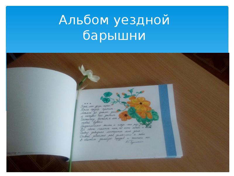 Альбом уездной барышни. Уездной барышни альбом презентация. Уездной барышни альбом проект. Альбом уездной барышни как сделать.