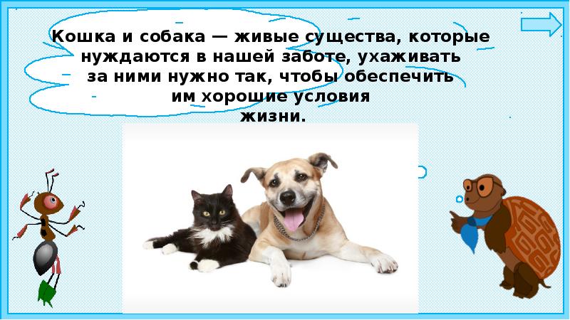 Про кошек и собак 2 класс окружающий. Урок окружающего мира про кошек и собак открытый урок. Кошки и собаки 1 класс окр мир. План проекта кошки и собаки. 1 Класс окружающий мир 2 часть проект про кошек и собак.