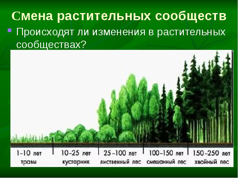 Cмена растительных сообществ
Происходят ли изменения в растительных сообществах? Cмена растительных сообществ
Происходят ли изменения в растительных сообществах?