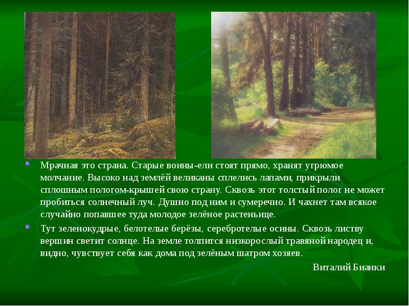 Мрачная это страна. Старые воины-ели стоят прямо, хранят угрюмое молчание. Высоко Мрачная это страна. Старые воины-ели стоят прямо, хранят угрюмое молчание. Высоко