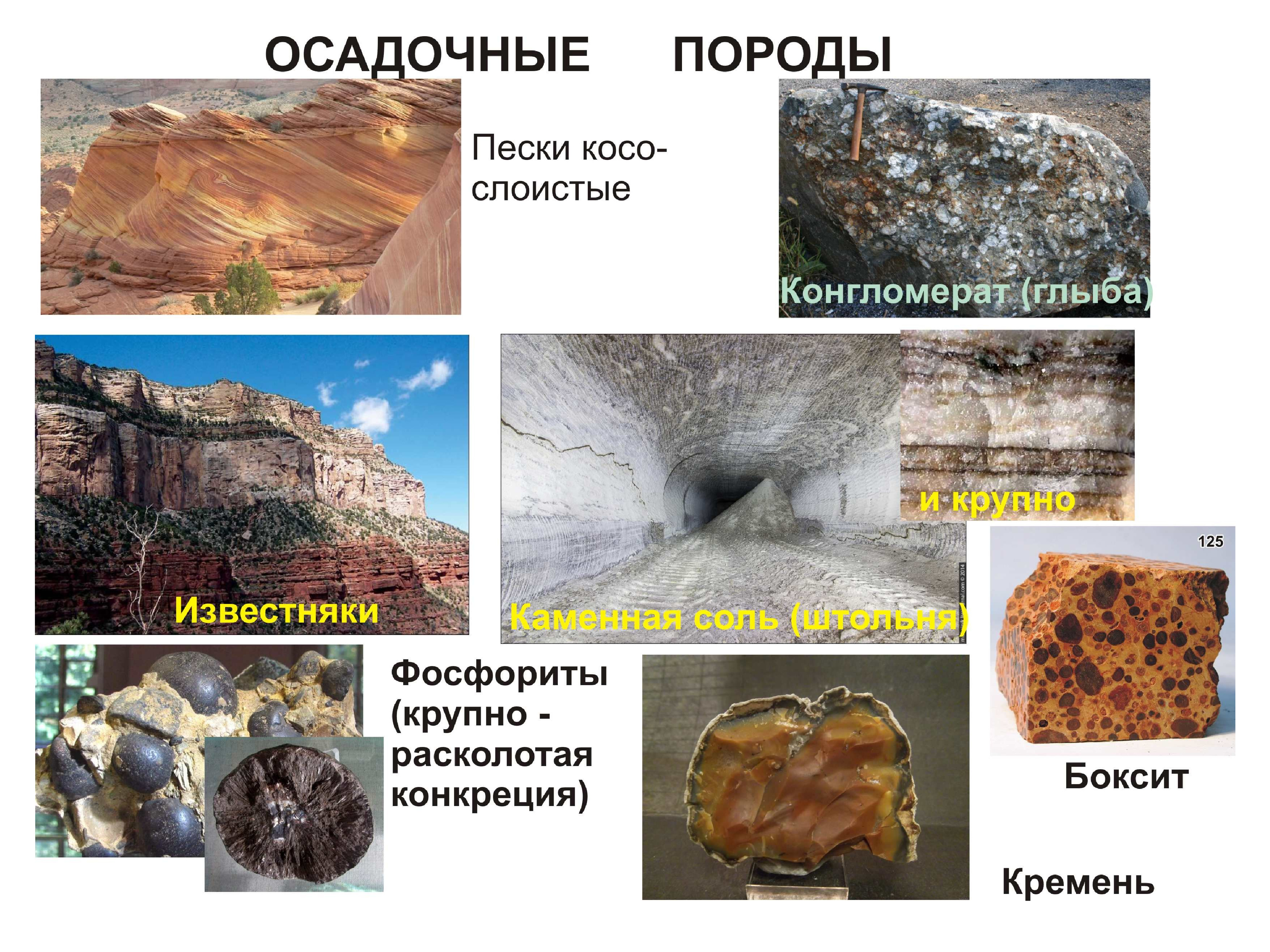 Сколько горных пород существует. Горные породы. Осадочные минералы. Горные породы по происхождению. Виды горных пород.