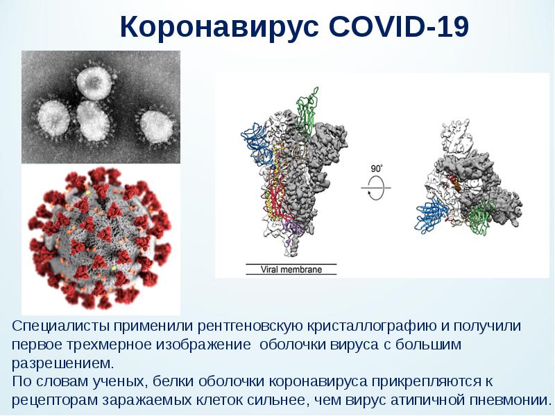 Картинка короновирусная инфекция