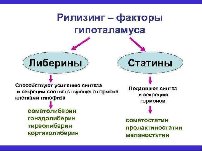 Гипофиз гормондары презентация