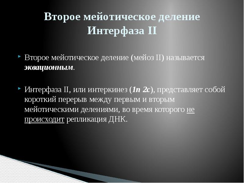 Интерфаза между 1 и 2 делением мейоза. Интерфаза первое и второе деление. Деление 1 интерфаза 1. Первое мейотическое деление интерфаза. Второе деление интерфазы.