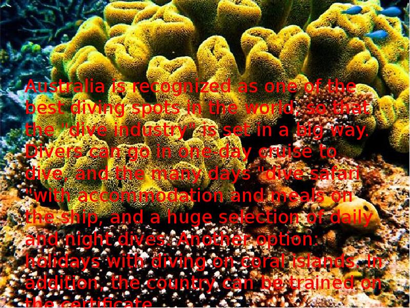 Australia is recognized as one of the best diving spots in Australia is recognized as one of the best diving spots in