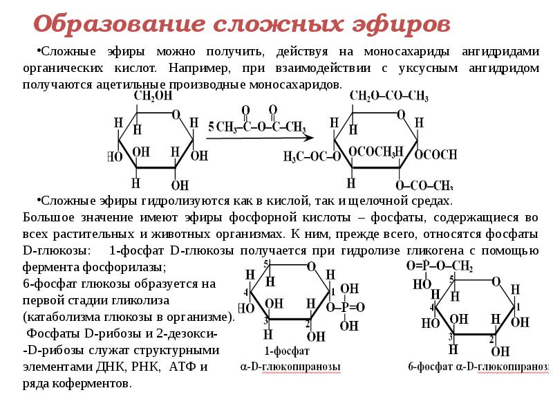 Специфическим свойством глюкозы как моносахарида является