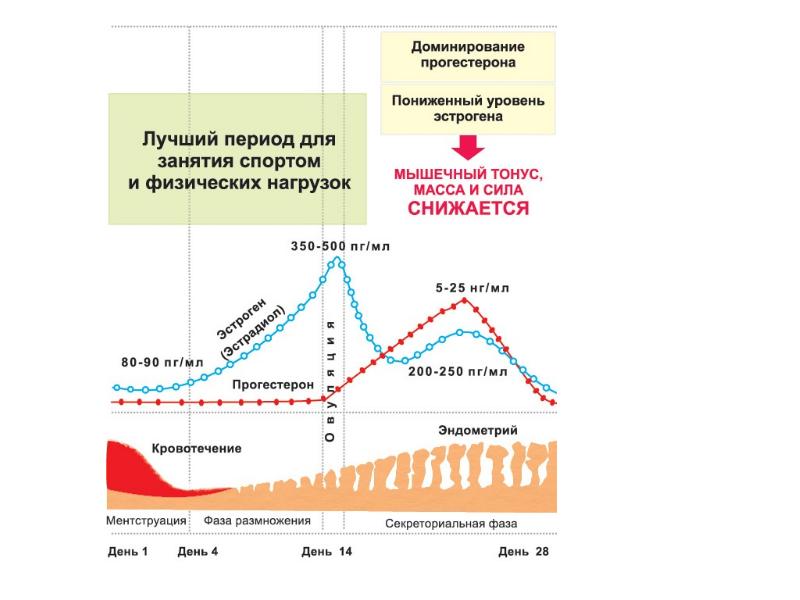 Гормональный всплеск и возбуждение спровоцировали странную реакцию