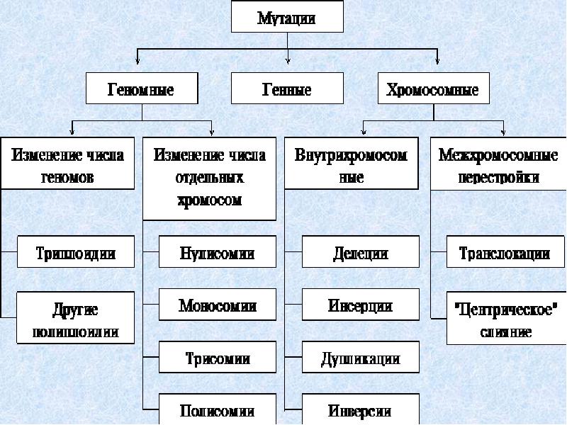 Виды мутаций презентация