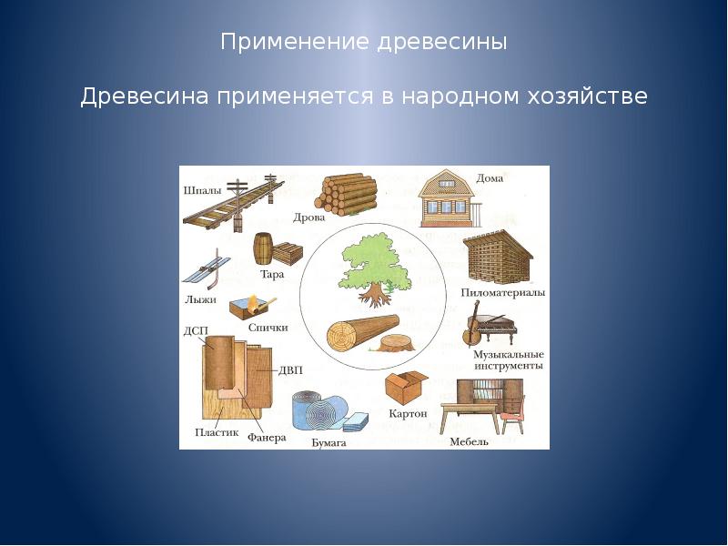 Значение древесины в народном хозяйстве презентация