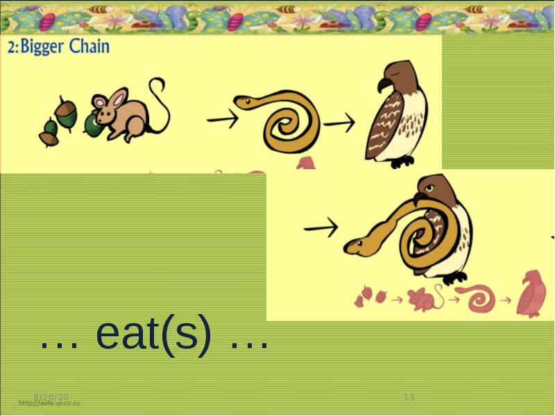 The food chain spotlight 7 презентация