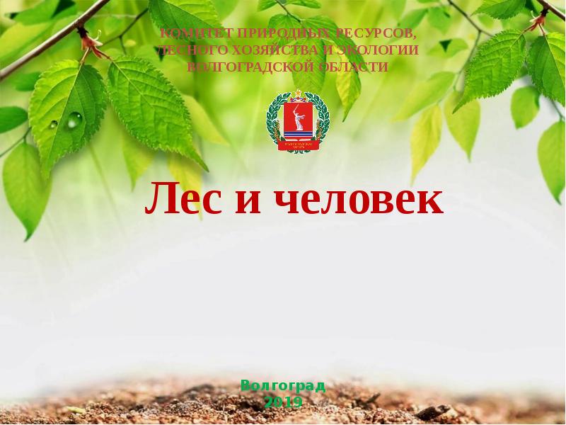 комитет природных ресурсов лесного. ижевска. комитет природных ресурсов волгоградской области. структура министерства природных ресурсов и экологии рф. комитет природных ресурсов лесного.