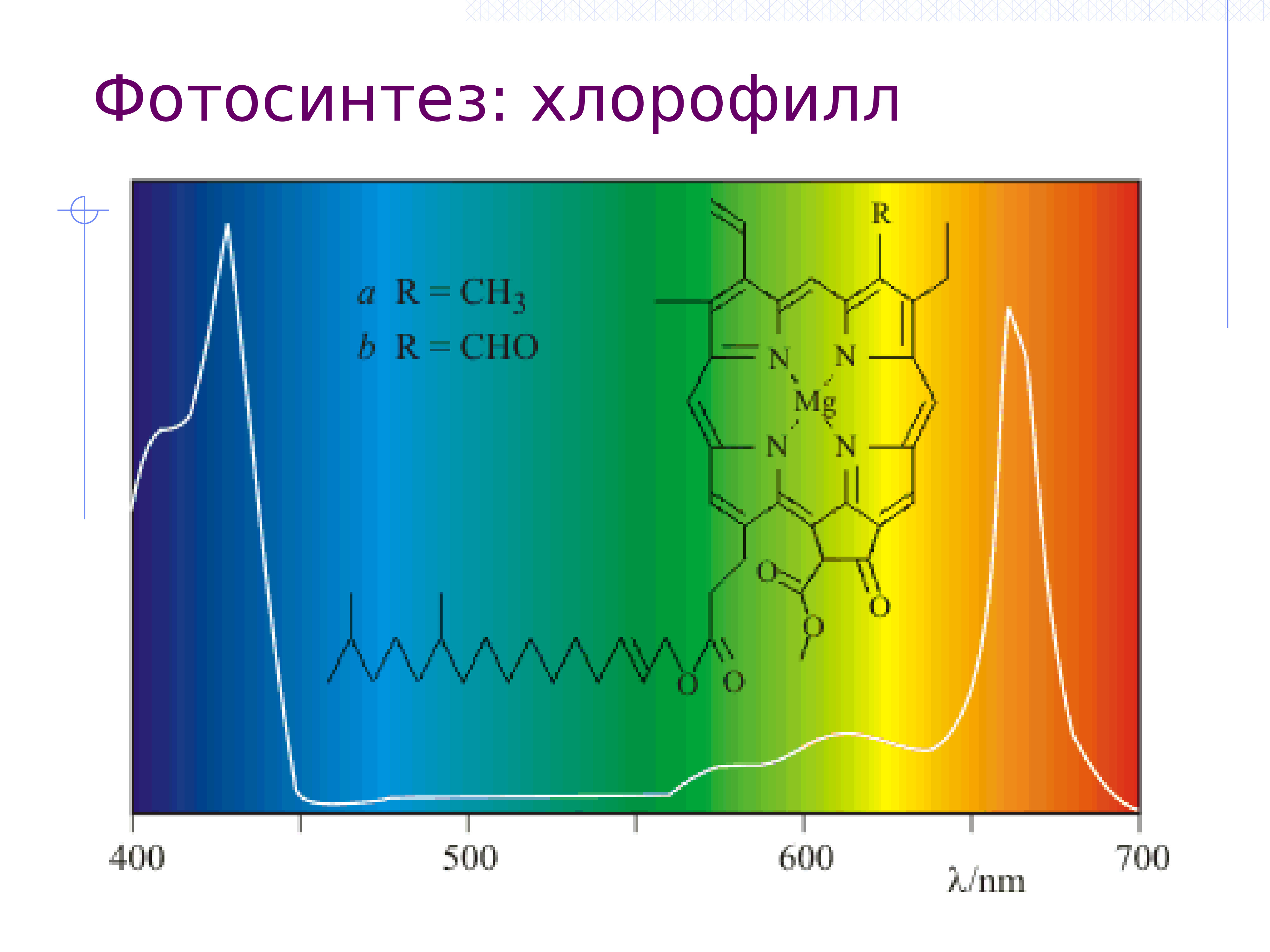 Возбуждение хлорофилла. Спектр хлорофилла. Хлорофилл в митохондриях. Хлорофилл для здоровья человека. Фотосинтез в митохондриях.