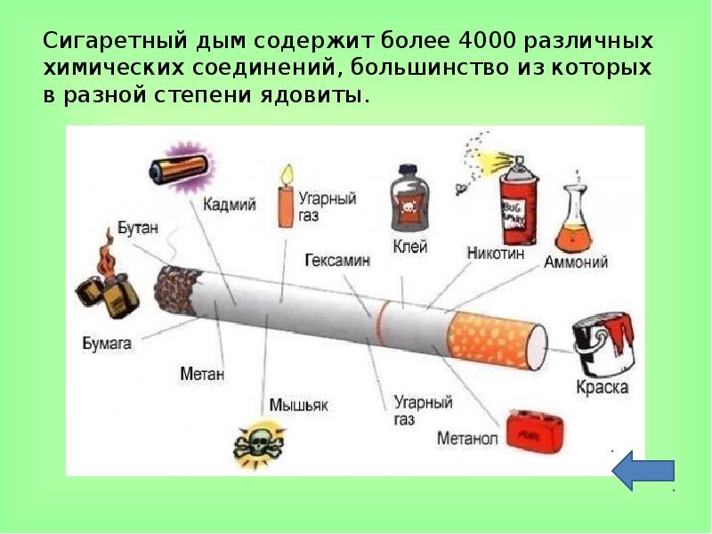 Проект 9 класс на тему вредные привычки