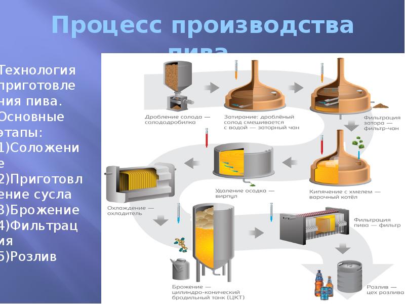 Презентация пивоварни образец