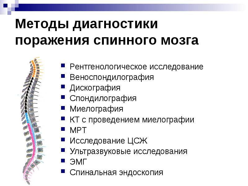 Клиническая картина спинального шока представлена в виде триады