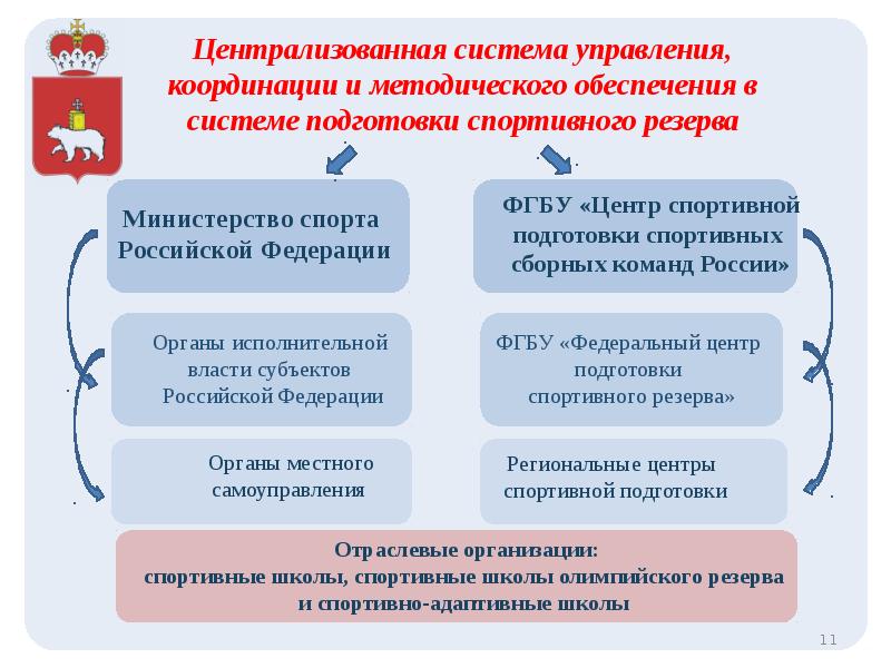 Современное состояния спорта