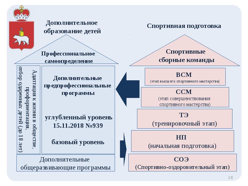 Подготовка спортивного резерва для сборных команд