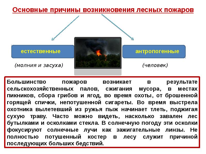 Лесные пожары презентация по биологии