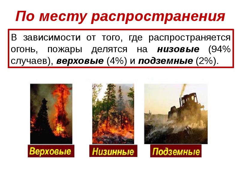 Презентация лесные пожары 8 класс