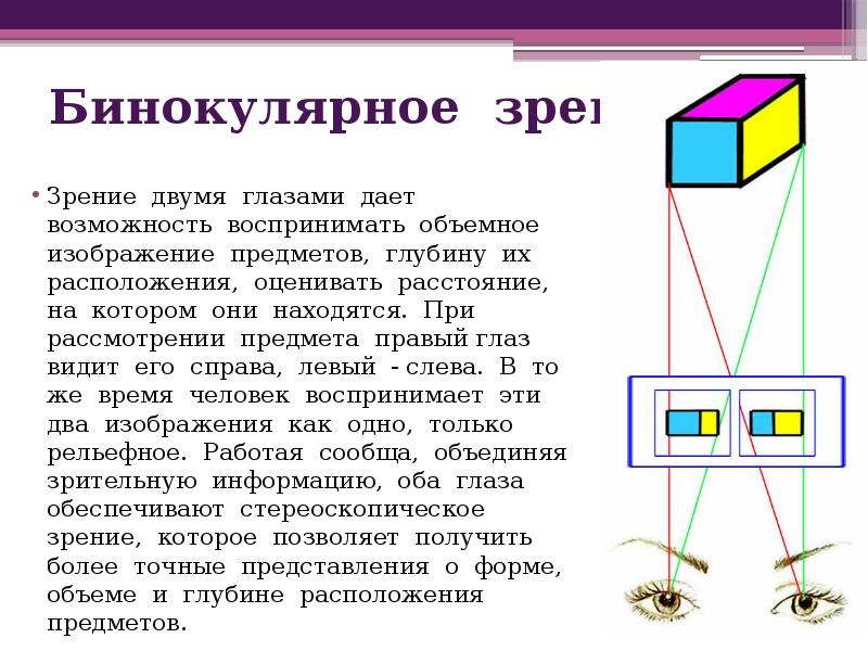 Бинокулярное зрение это видеть. Бинокулярное зрение. Бинокулярное зрение это способность. Иллюзия с бинокулярным зрением. Бинокулярное зрение лабораторная работа.