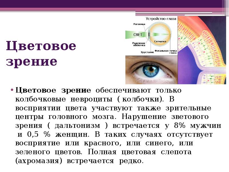 Различают зрение. Цветовое зрение. Цветное зрение. Цветовое зрение человека. Цвето вое зрнние лбеспечтвают.