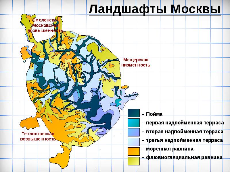 Смоленско московская возвышенность презентация