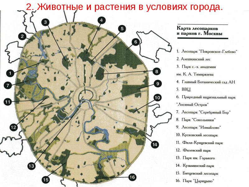 Карта растительности москвы