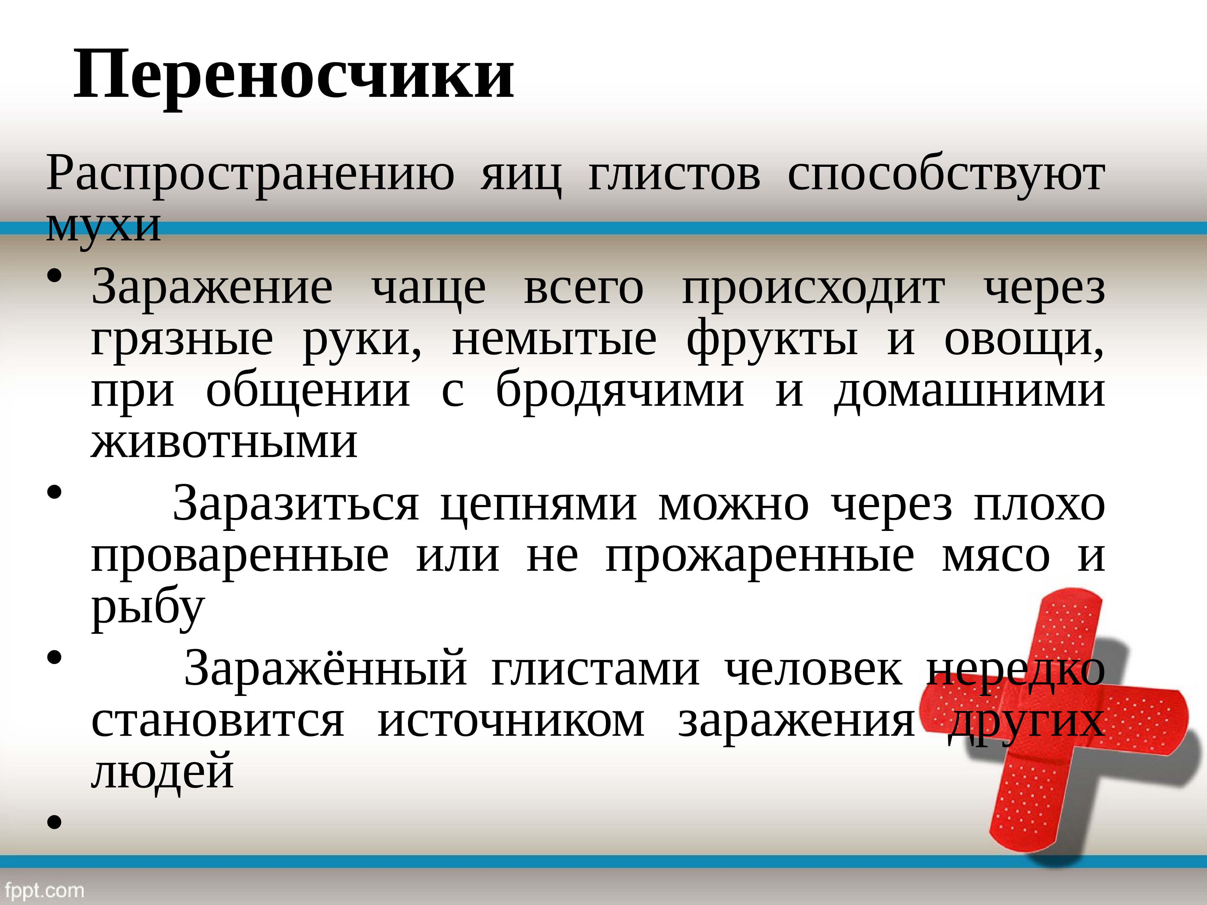 Глистные заболевания и меры их предупреждения сбо 8 класс презентация