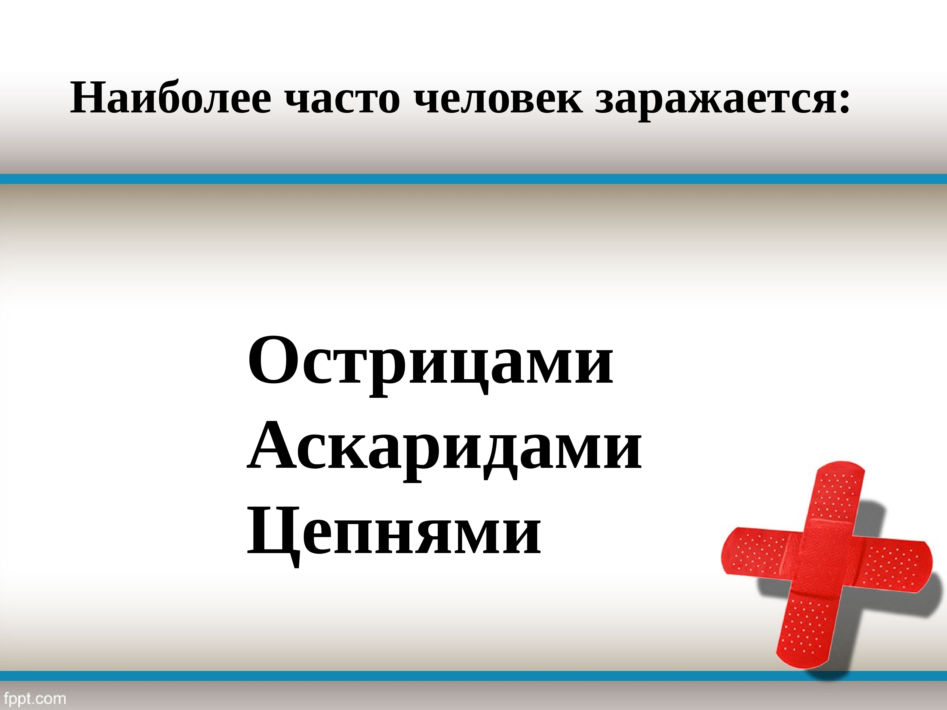 Глистные заболевания и меры их предупреждения сбо 8 класс презентация