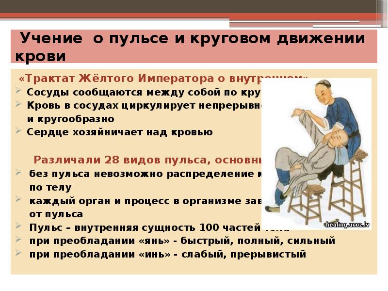 Учение о пульсе и круговом движении крови Учение о пульсе и круговом движении крови