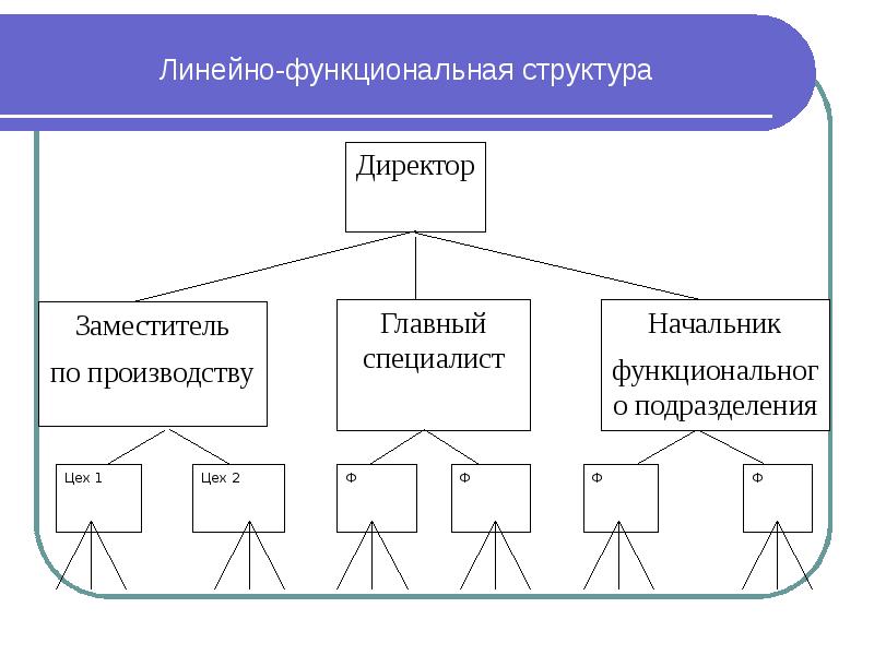 Линейное и функциональное подчинение. Линейно-функциональная структура. Плюсы линейно-функциональной структуры. Линейно функциональная структура заместитель директора. Линейная функциональная структура.