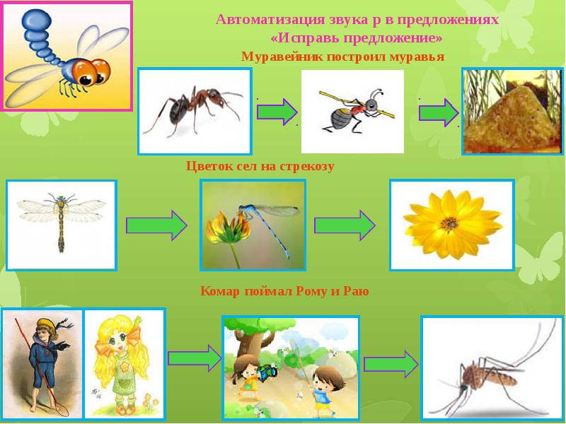 Логопедическое занятие насекомые презентация