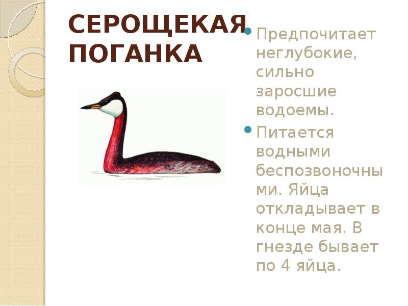 Красная книга башкирии