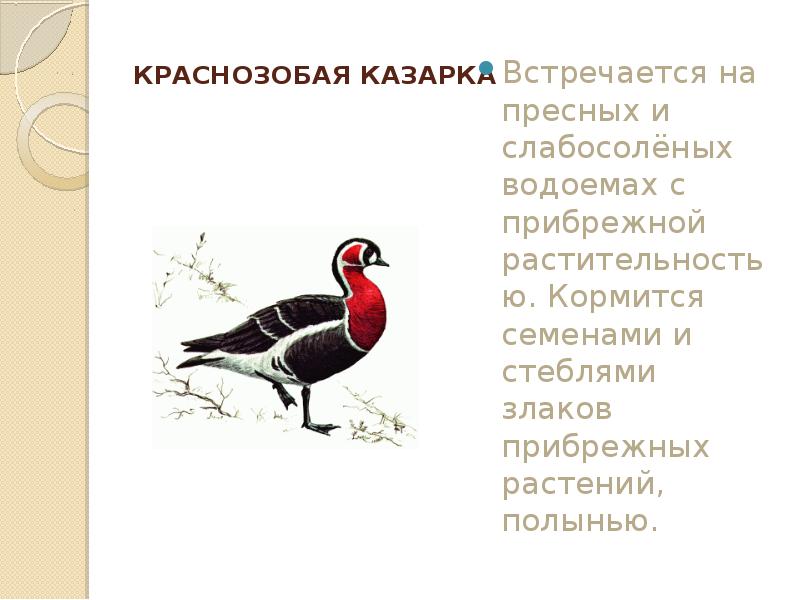 Красная книга башкортостана