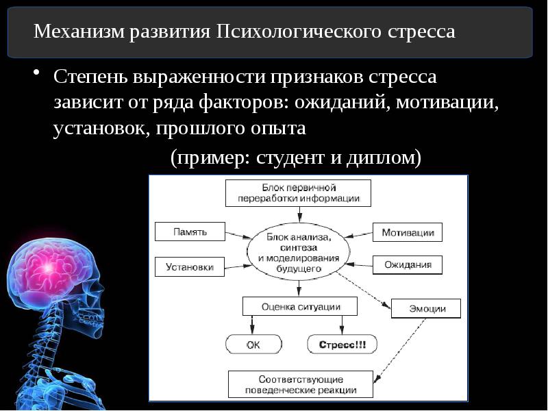 Стресс проект презентация