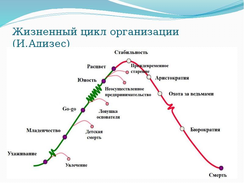 Презентация жизненный цикл организации