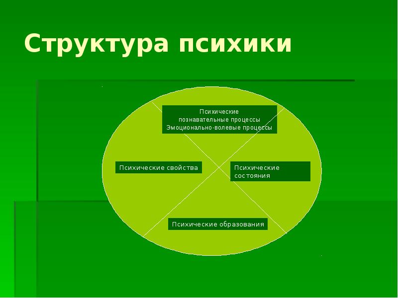 Внешние познавательные процессы. Структура психики. Иерархия психических познавательных процессов. Структура психики психические процессы. Познавательные психические процессы.